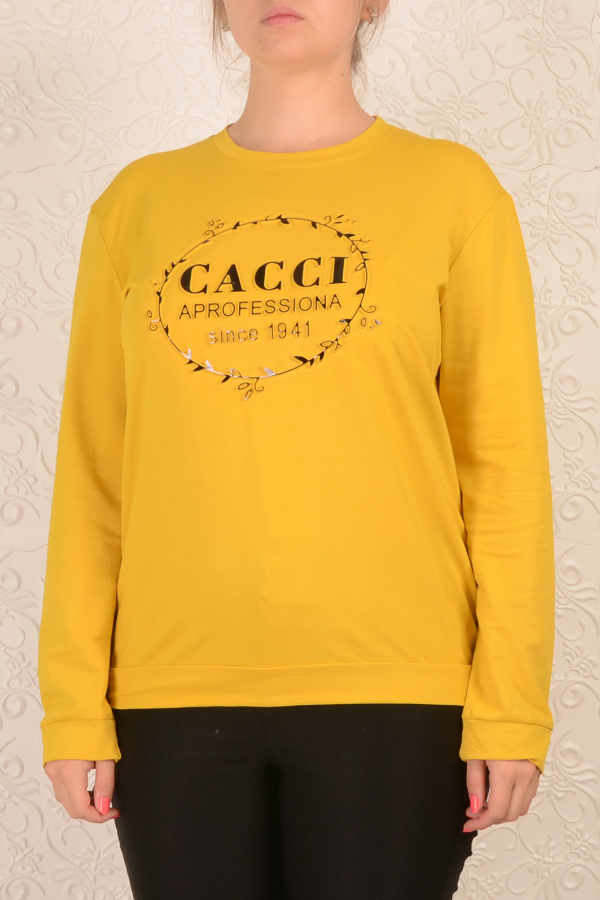 Свитшот женский 1389