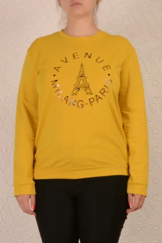 Свитшот женский 1401